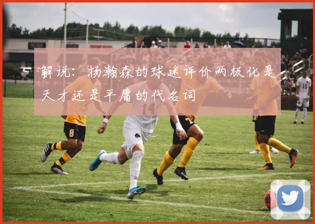 解说：杨瀚森的球迷评价两极化是天才还是平庸的代名词